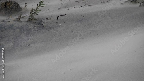 Sandstorm Close Up. Post Apocalypse, Climate Change, Global Warming Disaster. Desert landscape. Winds Blowing Sand. Arid And Dry Landscape Of Desert. photo