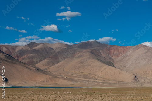 Mountains near Tsokar Lake,Ladakh,India