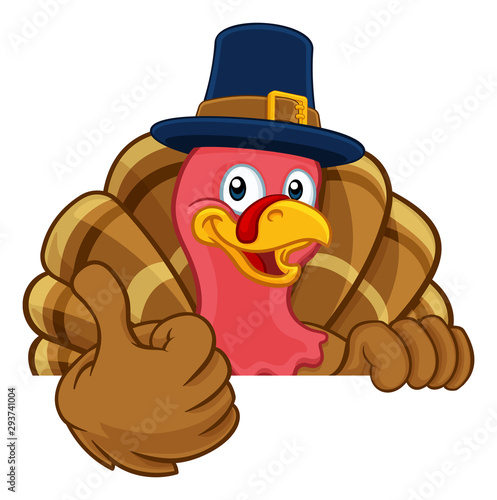 Pilgrim Turkey Thanksgiving bird animal cartoon character wearing a pilgrims hat. Peeking over a background sign and giving a thumbs up