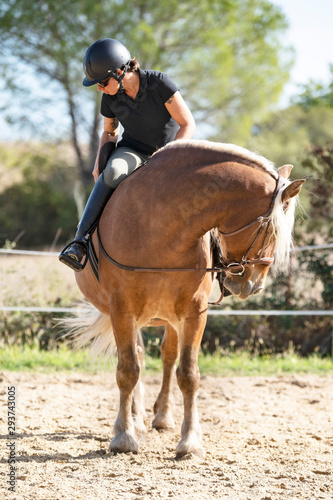 riding girl and comtois horse © cynoclub