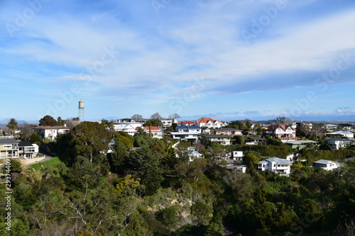 The view of New Zealand