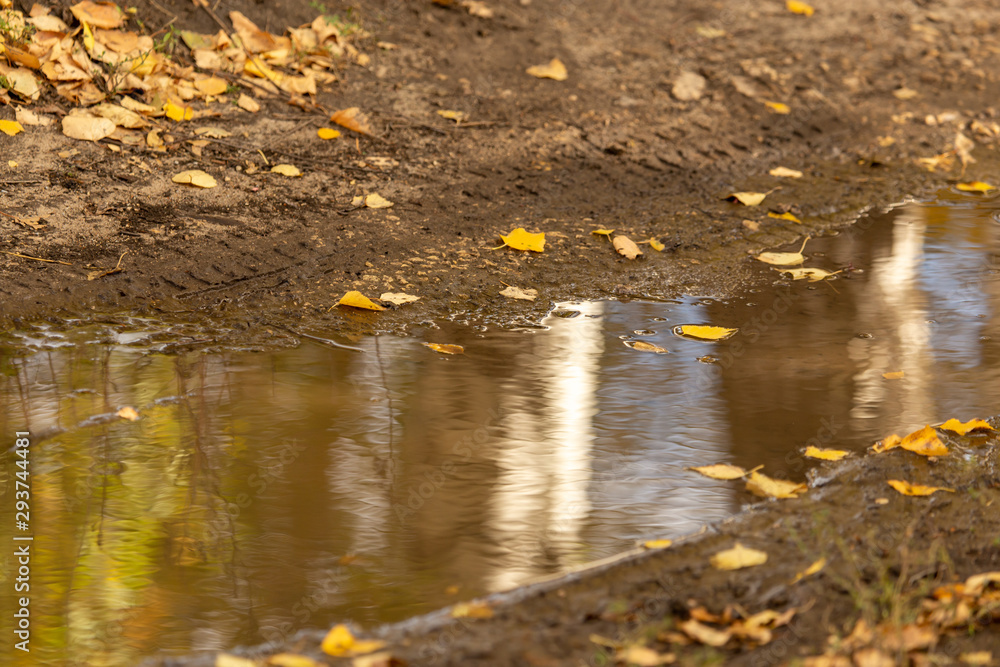 Puddle on a dirt road with autumn reflection Puddle on a dirt road with autumn reflection