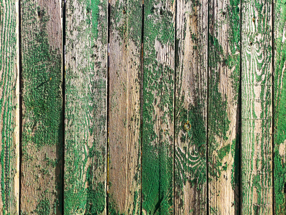 Old wooden boards on a fence painted with green paint. Old wooden boards on a fence painted with green paint.