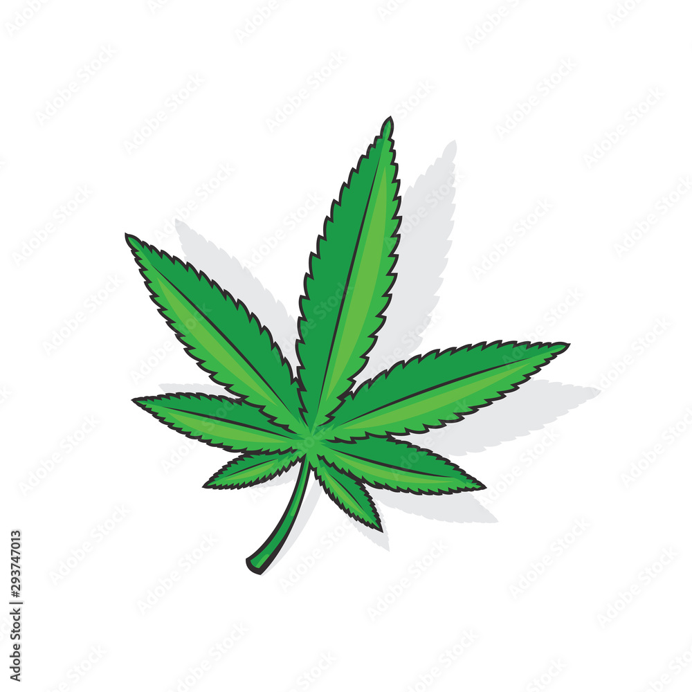 green marijuana cannabis leaves vector illustration green marijuana cannabis leaves vector illustration