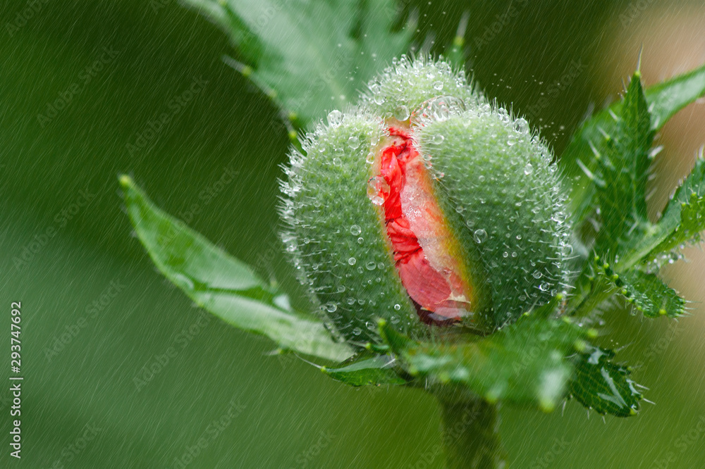 Obraz premium Aufbruch