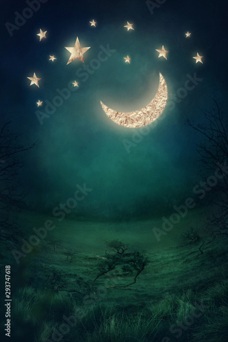 Fototapeta Landscape with golden moon