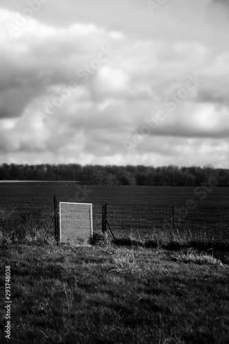 un portillon blanc dans un jardin photo