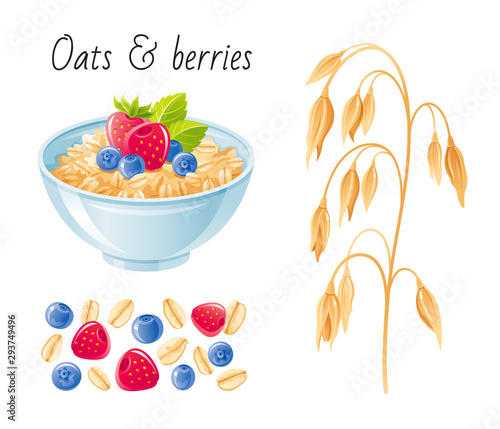 Oat meal fruit berry set. Bowl, oatmeal ear, flake, strawberry. Breakfast cup, oat grain porridg, muesli. 3d realistic icon. Cartoon healthy food design. Vector illustration isolated white background