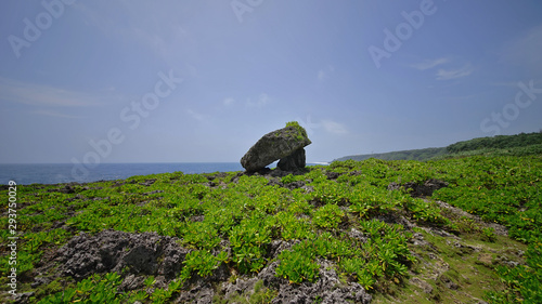 Cape Arasaki　けーぷ あらさき photo