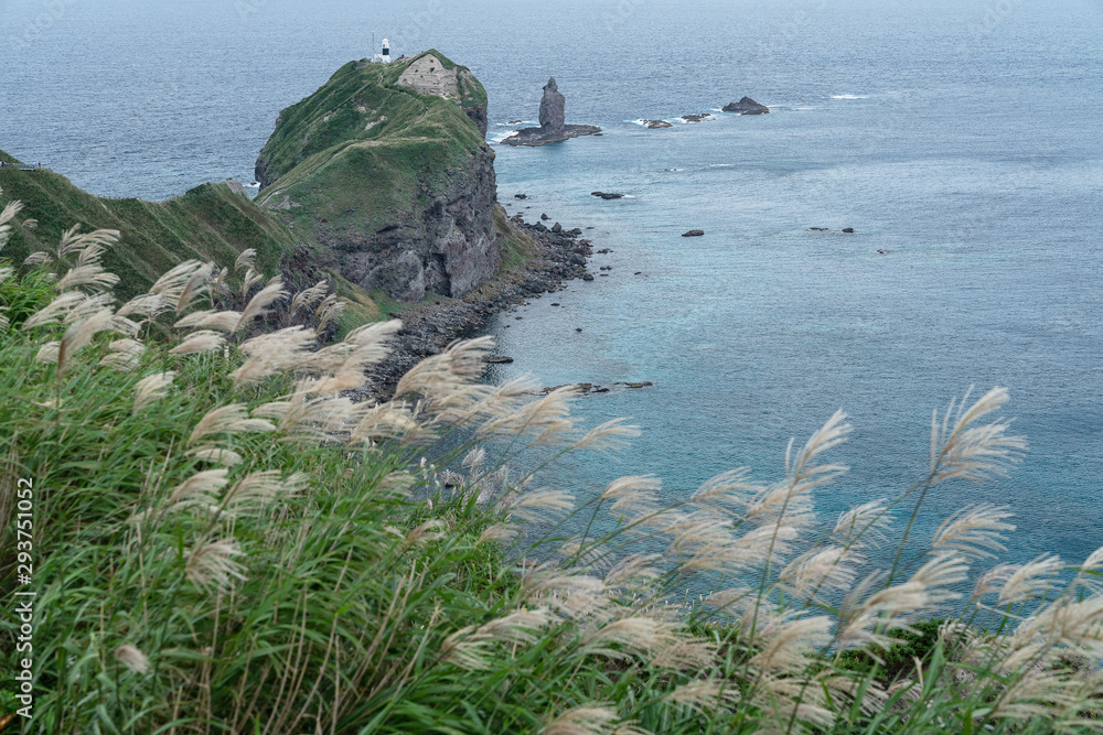 北海道神威岬とすすきの景色stock Photo Adobe Stock 北海道神威岬とすすきの景色stock Photo Adobe Stock