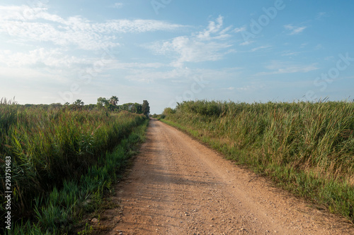 The natural park of the prat of Cabanes and Torreblanca in Castellon