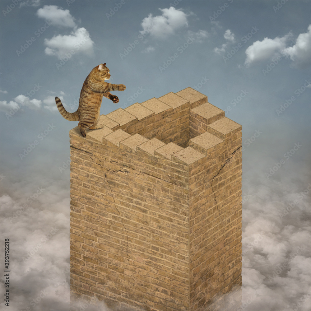 The cat climbs the endless stairs of a high brick tower that rises ...