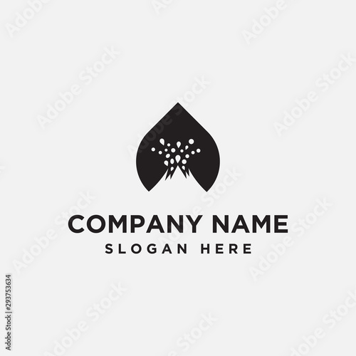 mountain water logo. volcano - vector