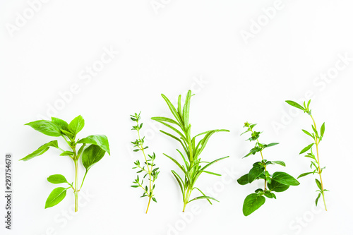 Fresh green twigs of herbs isolated on white