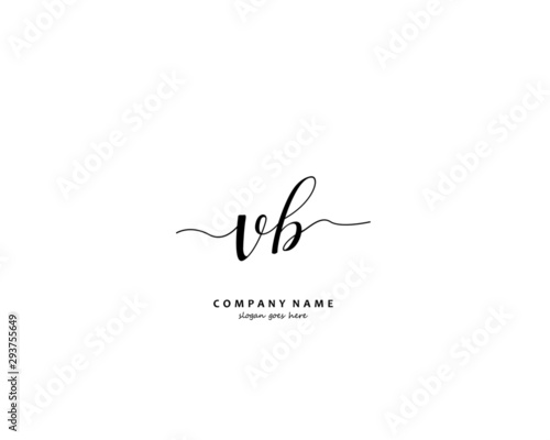 VB Initial handwriting logo vector