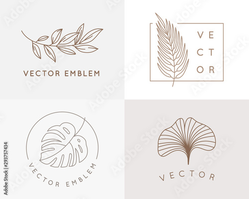 Vector logo design templates and monogram concepts in trendy linear style - floral frame with copy space for text or letter