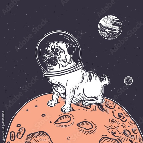 Pug astronaut is sitting on a red planet in space.