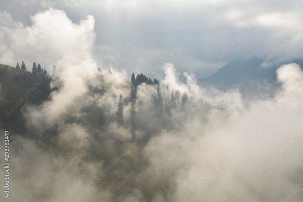 nebel im kleinwalsertal