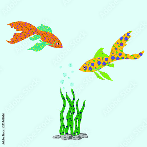 Two goldfish with algae the effect of an application