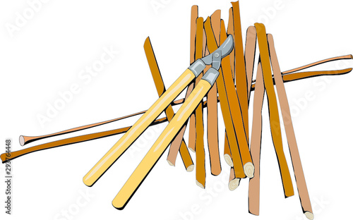 Baumschere und Holzabschnitt