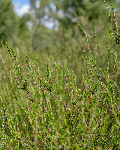 Natur Park