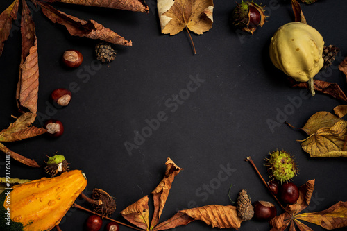 frame of leafs, chestnuts, pumpkins and dry elements, colorful autumn decoration