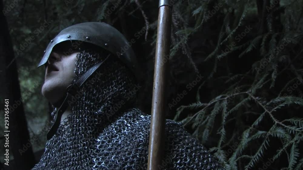 A medieval knight is ambushed in the woods and knocked down A medieval knight is ambushed in the woods and knocked down