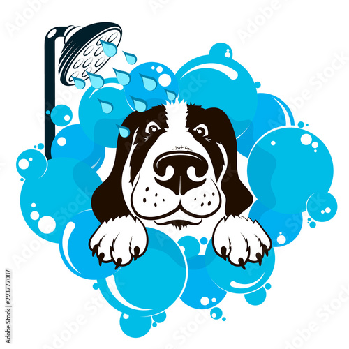 Dog washes in soap bubbles animal care cute illustration