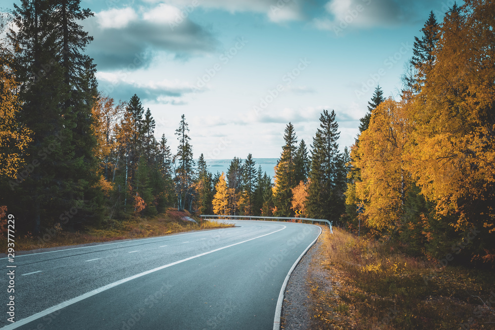 Autumn road view from Sotkamo, Finland. - obrazy, fototapety, plakaty 