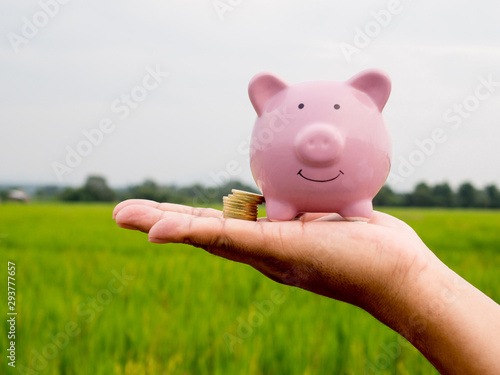 pink piggy bank on the green rice field background, Saving money for future plan and retirement fund concept © Lucky7Trader