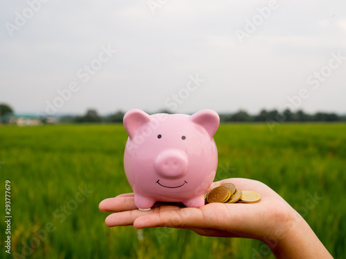 pink piggy bank on the green rice field background, Saving money for future plan and retirement fund concept © Lucky7Trader