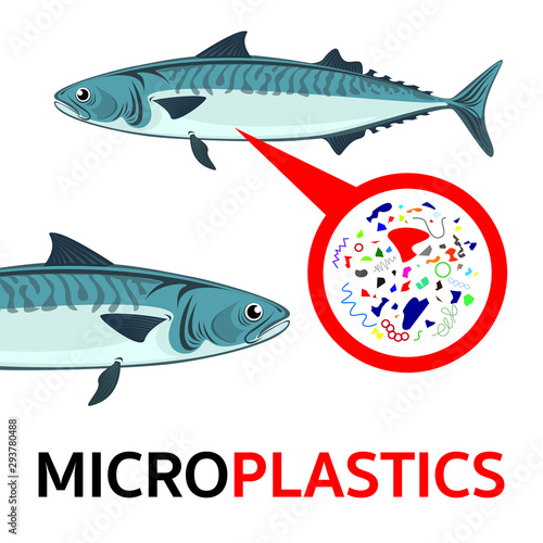 Microplastics in fish and the implications for human health. Microplastic contamination polluted throughout the marine environment. Toxicology from fish to human.