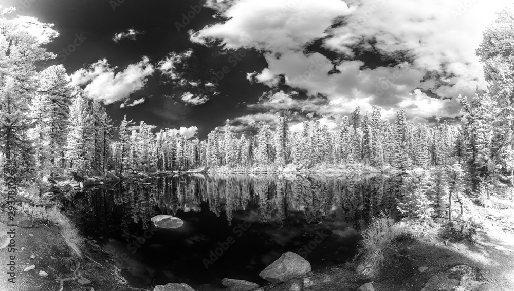 infrared forest with clouds