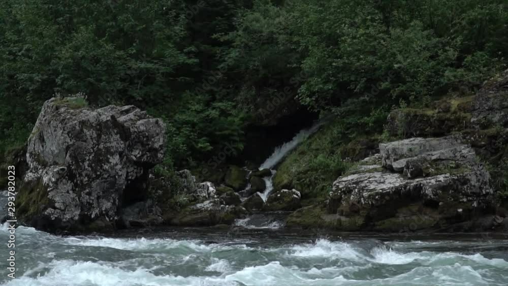 walk along the mountain river in summer walk along the mountain river in summer