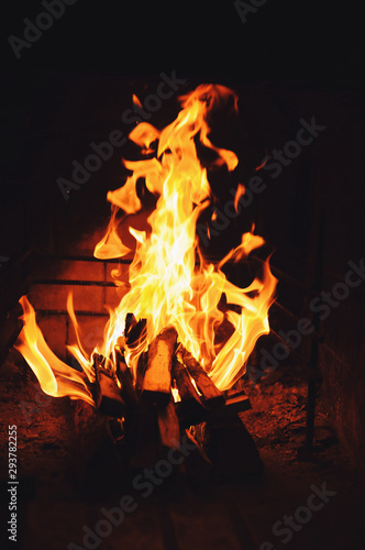 Firewood burns in the fireplace