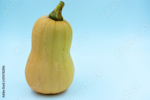 Calabazas de la región de Murcia (España) © Manuel