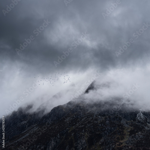 Stunning detail landscape images of snowcapped Pen Yr Ole Wen mountain in Snowdonia during dramatic moody Winter storm with birds flying high above © veneratio