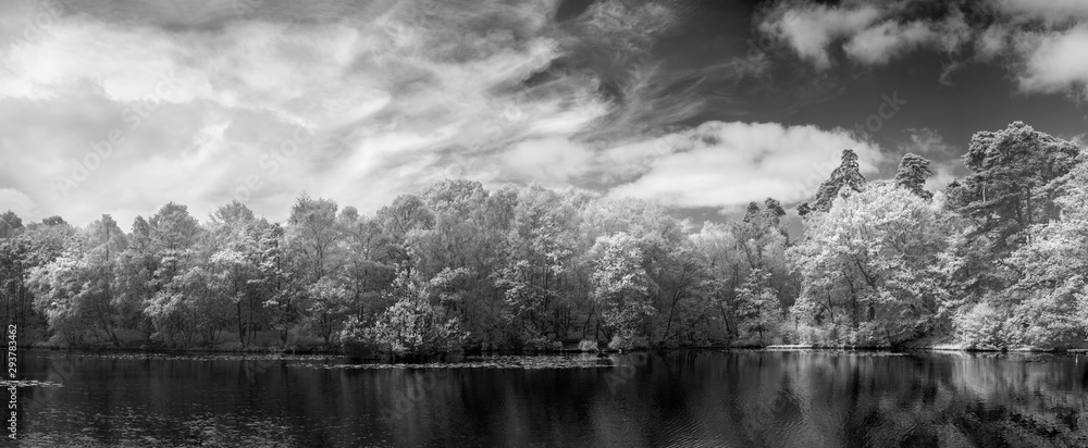 Stunning black and white infra red Summer landscape of lake and woodland in English countryside