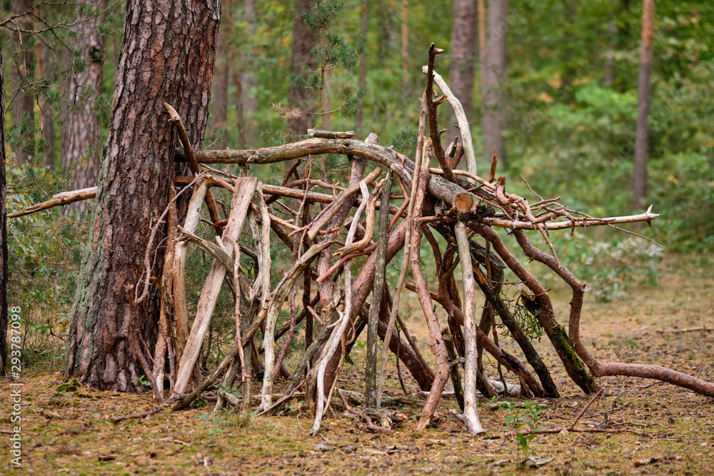 A kind of simple hut made by children out of wood and branches from the forest in the autumn forest in Germany A kind of simple hut made by children out of wood and branches from the forest in the autumn forest in Germany