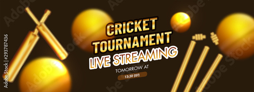 Vector illustration of cricket bats with balls and wicket stumps on brown background for Live Streaming Cricket Tournament header or banner design.