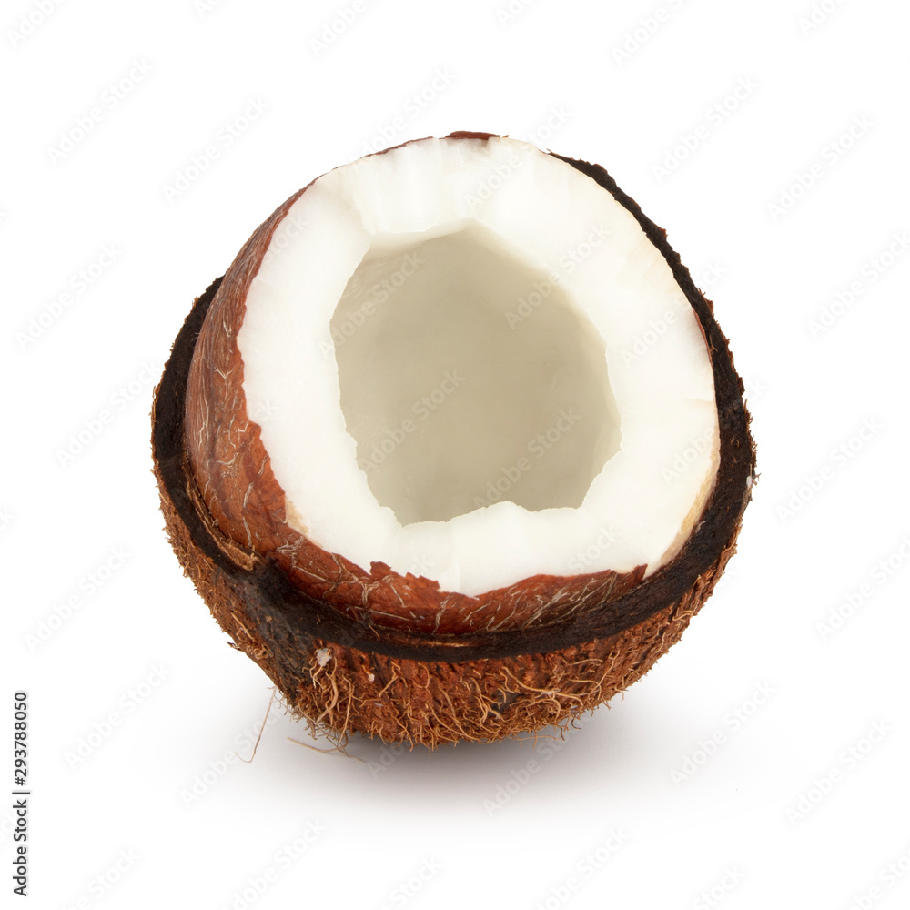 Opened brown little mini coconut isolated on white background Opened brown little mini coconut isolated on white background
