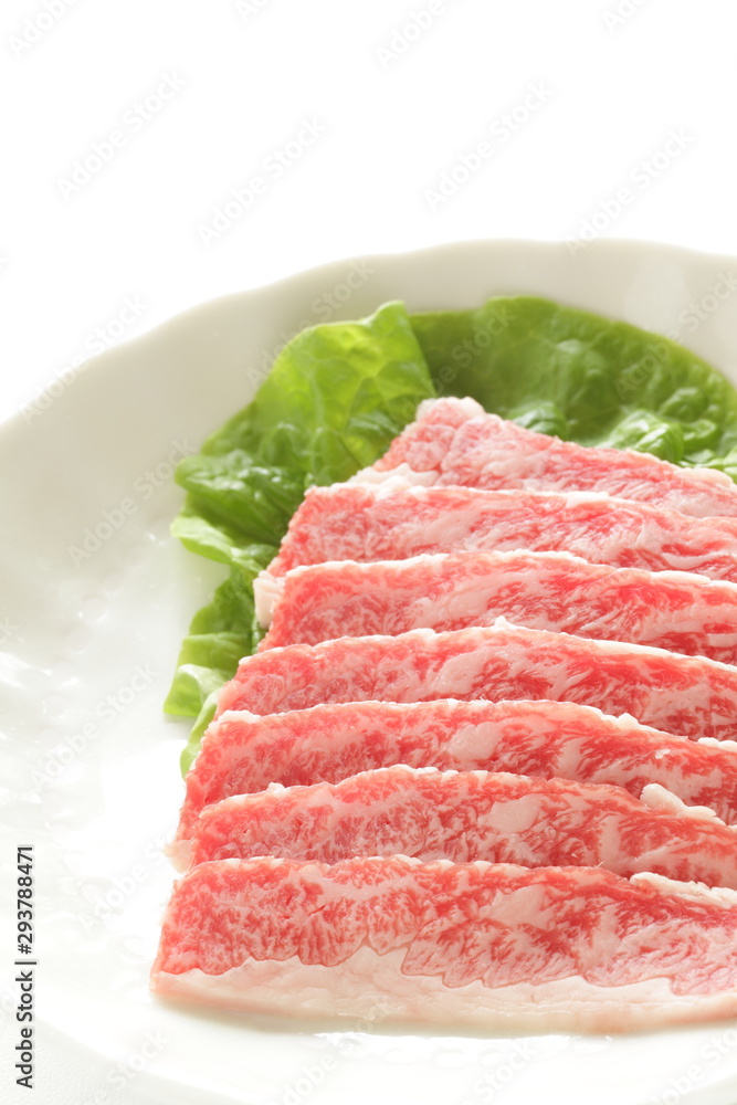 Freshness Japanese marble beef Wagyu on dish for freshness ingredient Freshness Japanese marble beef Wagyu on dish for freshness ingredient