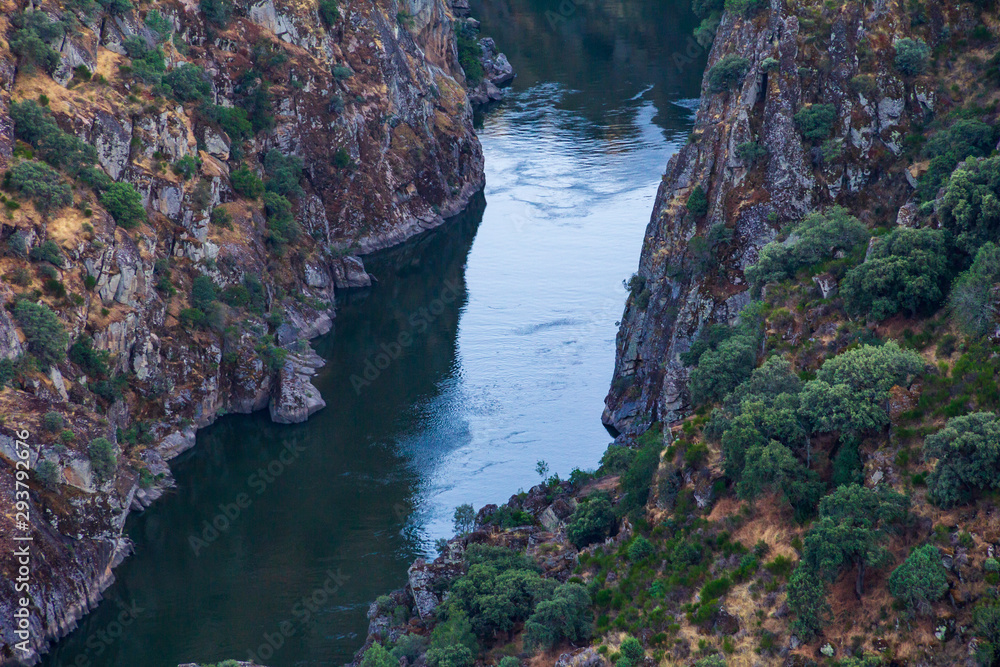 Fototapeta premium Douro river at the bottom of the escarpments in Douro International Natural Park