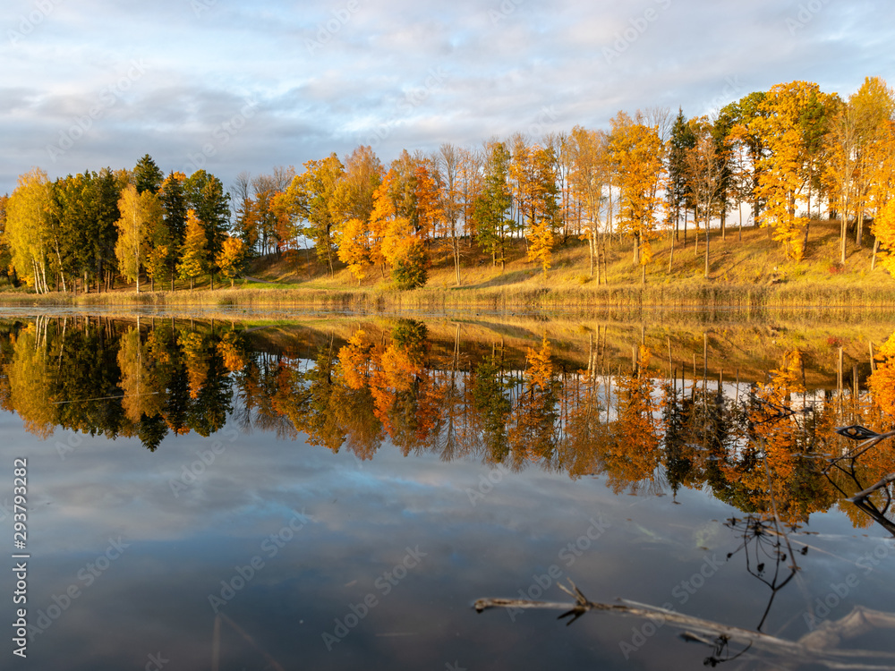 Fototapeta premium beautiful, gorgeous and colorful trees on an autumn day, wonderful autumn landscape with gorgeous and colorful trees by the water, beautiful reflections in the water