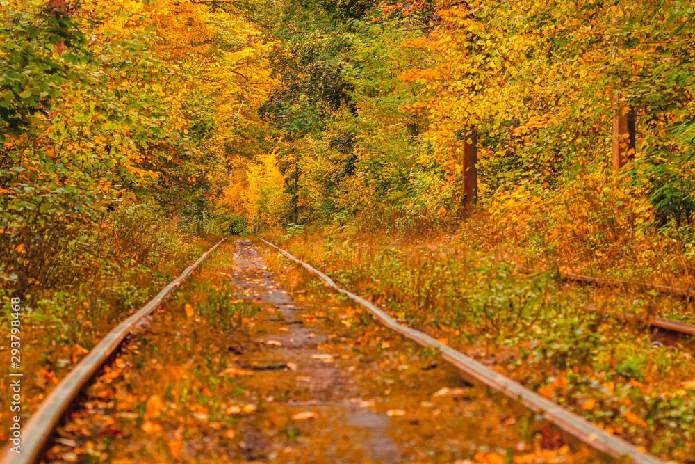 Autumn forest through which an old tram rides (Ukraine) Autumn forest through which an old tram rides (Ukraine)