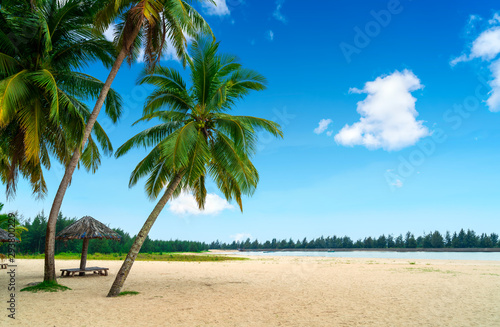 Summer beach landscape