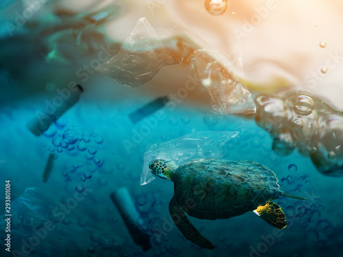 Ocean Plastic Pollution - Turtles Eat Plastic Bags - Environmental Problems Environmental Pollution Concept