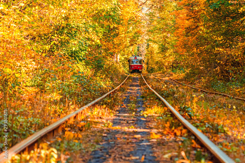 Autumn forest through which an old tram rides (Ukraine)