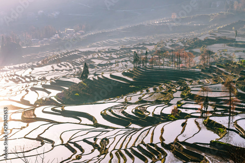 Terraced rice fields of YuanYang   China in the morning