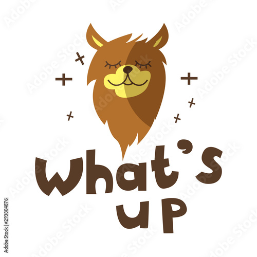 Funny vector cat in sunglasses illustration